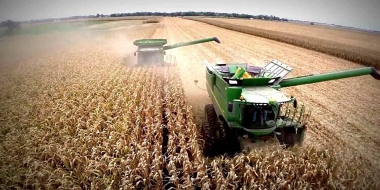 El Gobierno descartó un aumento de las retenciones a los granos