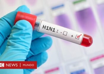 Preocupa la cantidad de casos de Gripe A en la región