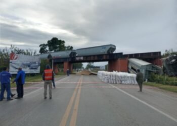 Descarriló un tren y cayó de un puente sobre la ruta 33
