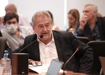 Mirabella: «quien está más cerca de los problemas es el que los puede resolver»