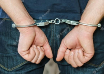 Arresto civil y otras novedades policiales