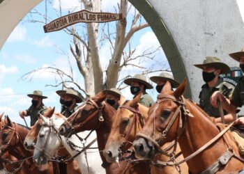 Los Pumas imputaron a más de 14.232 personas por delitos rurales en los últimos dos años