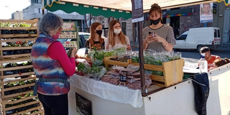 Realizarán la primera «Feria desde el Origen» del año