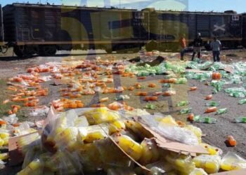 Un tren del NCA chocó contra un camión en el Camino Público 5