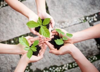 El municipio organiza actividades por el Día del Ambiente