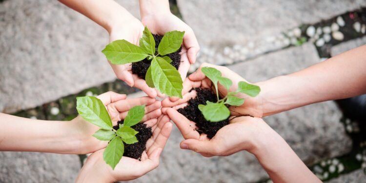 El municipio organiza actividades por el Día del Ambiente