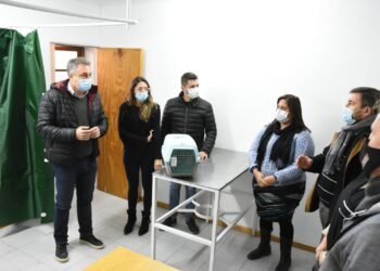 Se puso en marcha el Centro de Atención Primaria para mascotas