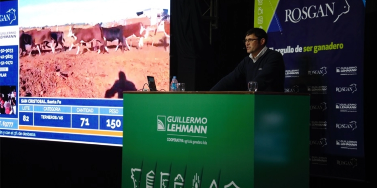 La Cooperativa Guillermo Lehmann remató 8 mil cabezas