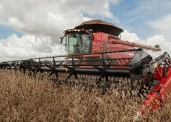 Culmina al cosecha gruesa en la región y ya se planifica la siembra de trigo