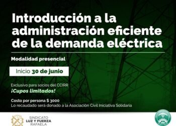 Nuevo curso: Introducción a la administración eficiente de la demanda eléctrica