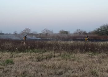 Incendio de pastizales en zona Norte de la ciudad