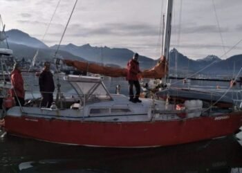 Identificaron al velero que embistió una ballena en el Canal Beagle y ya interviene la Justicia