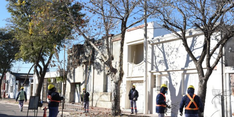 Comienza la temporada de forestación y mantenimiento del arbolado público