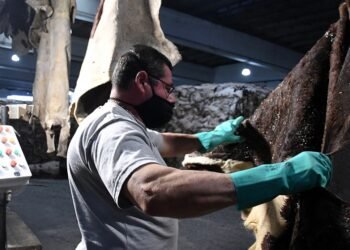 El uso de la capacidad instalada de la industria fue del 68,4% en mayo