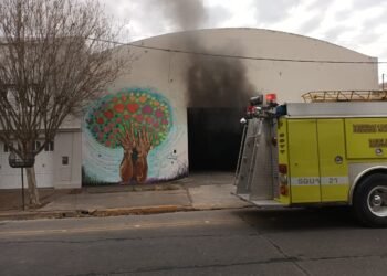 Gran susto por el incendio de un auto en una cochera