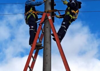 Luz y Fuerza celebra el Día del Trabajador de la Energía Eléctrica