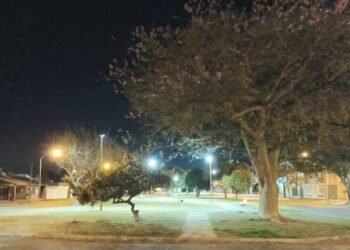 Se estrenó la nueva iluminación en los canteros de avenida Suipacha