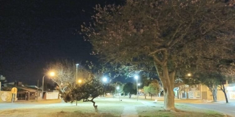 Se estrenó la nueva iluminación en los canteros de avenida Suipacha