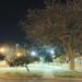 Se estrenó la nueva iluminación en los canteros de avenida Suipacha