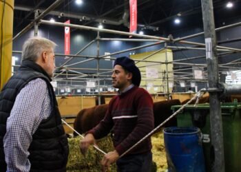 Mirabella también tomó distancia de las afirmaciones de Fernández sobre especulación del agro