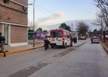 Chocaron a un perro y cayeron de la moto