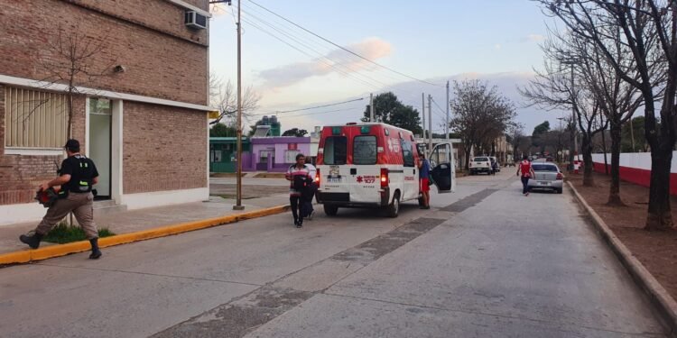 Chocaron a un perro y cayeron de la moto