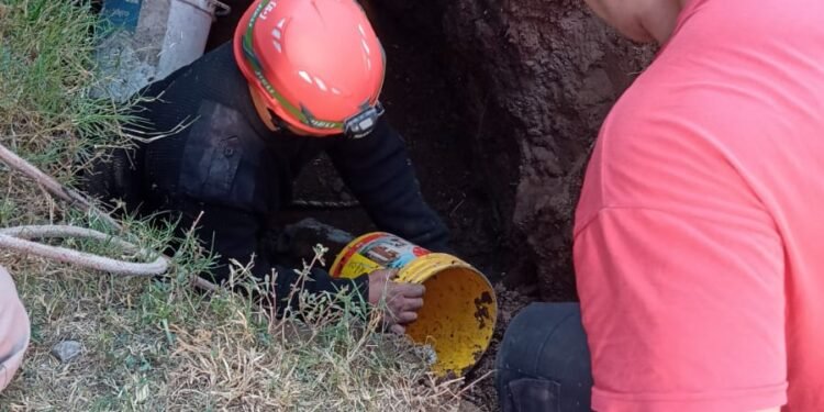 Rescatan a una yegua preñada que cayó en un pozo