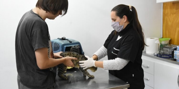 Realizaron otra jornada especial de castración y vacunación