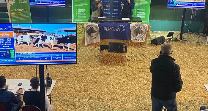 La Coop. Guillermo Lehmann remató animales Holando en Palermo