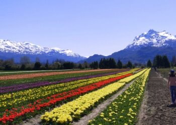 Tres pueblos argentinos compiten para ser distinguidos como el mejor del mundo