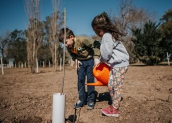 Grupo Bertolaccini presentó su primer bosquecito