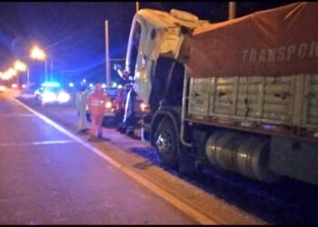 Multa de casi medio millón de pesos a un camionero que intentó evadir un control