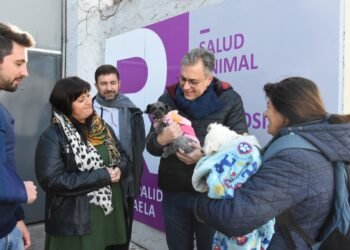 Hicieron más de 600 atenciones en el Centro de Atención Primaria para perros y gatos