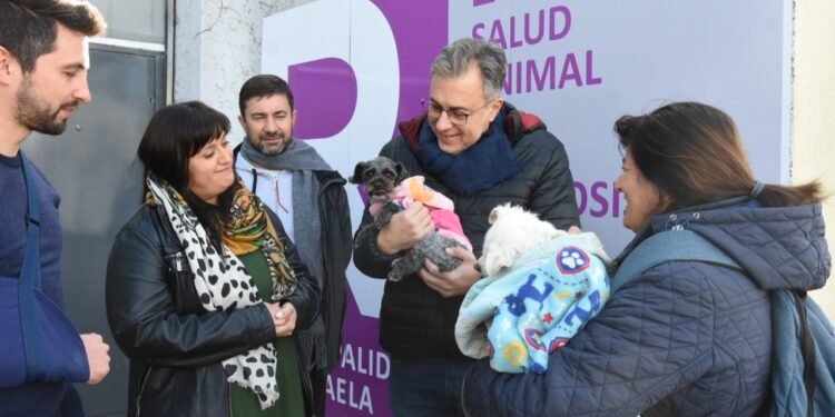 Hicieron más de 600 atenciones en el Centro de Atención Primaria para perros y gatos