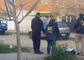 Imputaron a un hombre por la muerte de la activista trans Alejandra Ironici