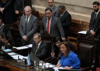 Diputados votó por unanimidad el repudio al atentado contra la Vicepresidenta