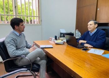 Viotti alertó sobre el perjuicio a industrias locales por el cierre de importaciones