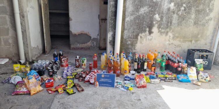 Hallaron distintos elementos que habían sido el «botín» de robos varios