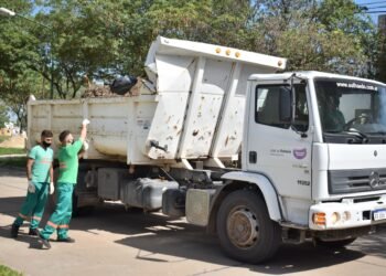 Recolección de residuos de patio en el sector 3