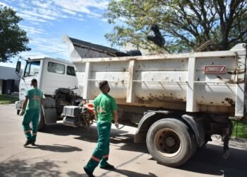 Recolección de residuos de patio en el sector 4