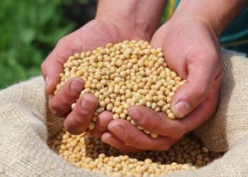 Desde este martes, las empresas que se benefician con «dólar soja» no podrán acceder a divisas