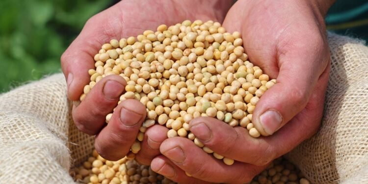 Desde este martes, las empresas que se benefician con «dólar soja» no podrán acceder a divisas