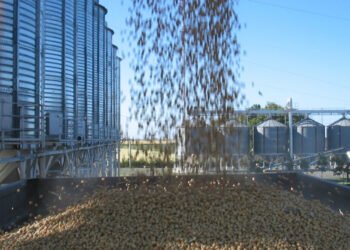 La provincia de Santa Fe a la vanguardia en la capacitación de operarios de poscosecha de granos almacenados