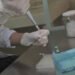 La provincia avanza en la vigilancia epidemiológica de muestras de leche