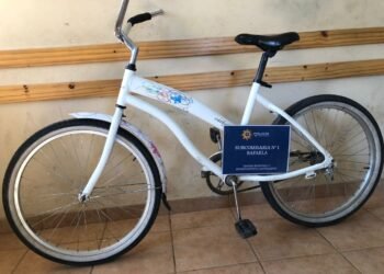 Otra madre denunció a su hijo por ladrón