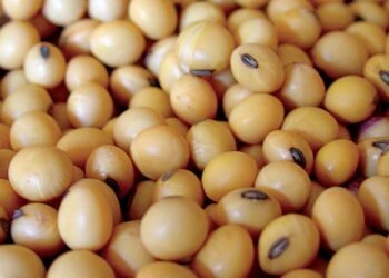 Del ingreso récord de divisas a «cuidar cada dólar que entró»