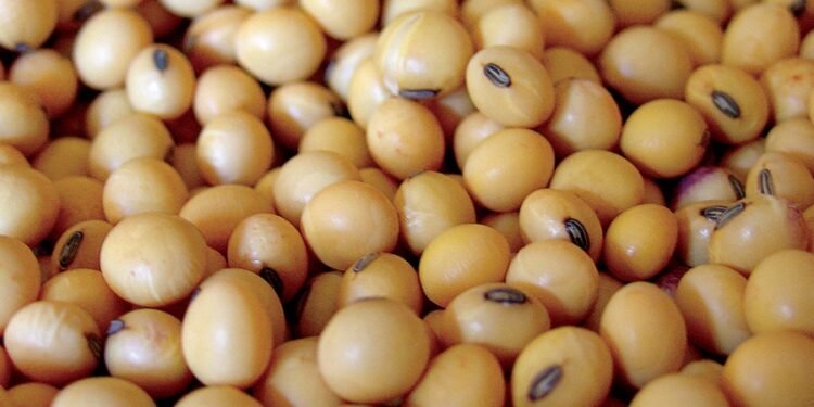 Del ingreso récord de divisas a «cuidar cada dólar que entró»