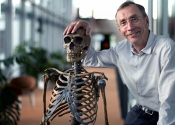 El investigador sueco Svante Pääbo ganó el Nobel de Medicina 2022