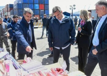 Evitan el ingreso al puerto de Buenos Aires de 274 toneladas de contrabando