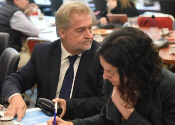 Mirabella propuso cambios en el Código Penal para castigar incendios en las islas